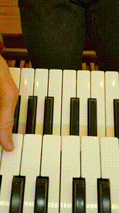 Close up silent video clip (GIF) of me playing the organ keys